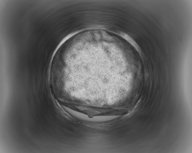 X0000086281052200704191942