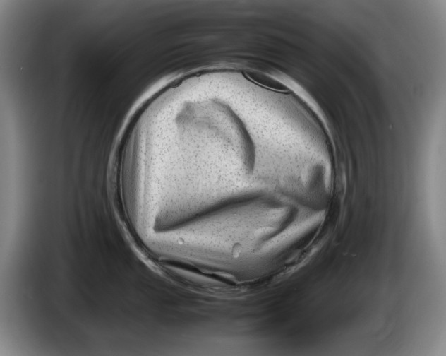 X0000086281053200704191942