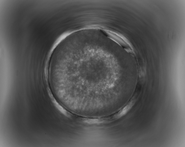 X0000086281054200704191942