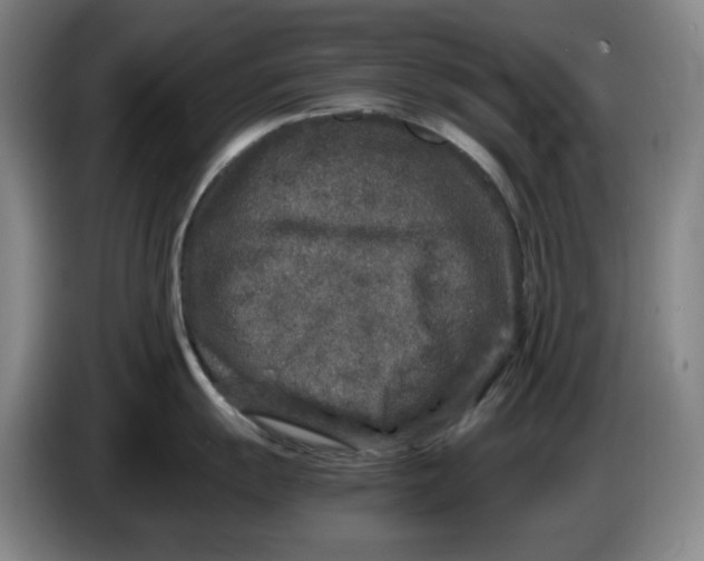 X0000086281055200704191942