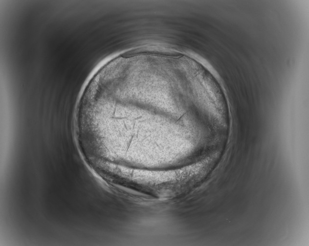 X0000086281056200704191942