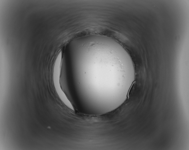 X0000086281058200704191941