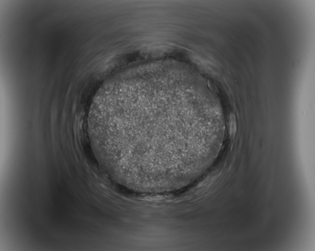 X0000086281059200704191941