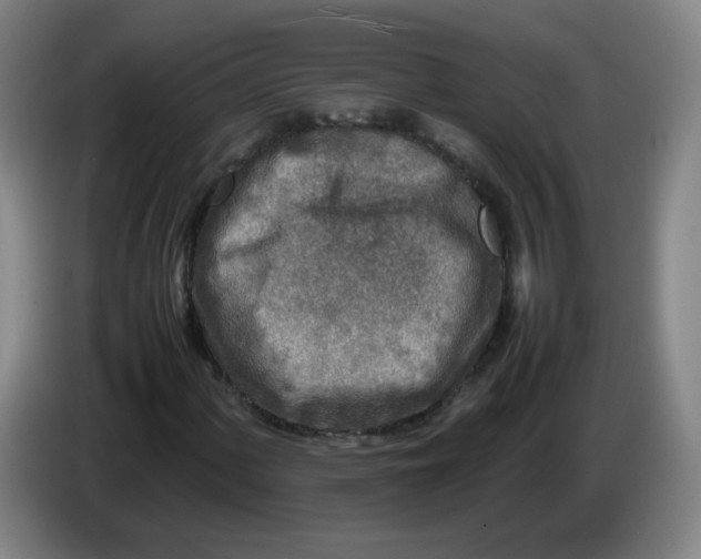 X0000086281060200704191941