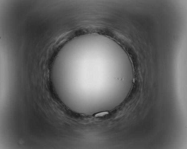 X0000086281061200704191941