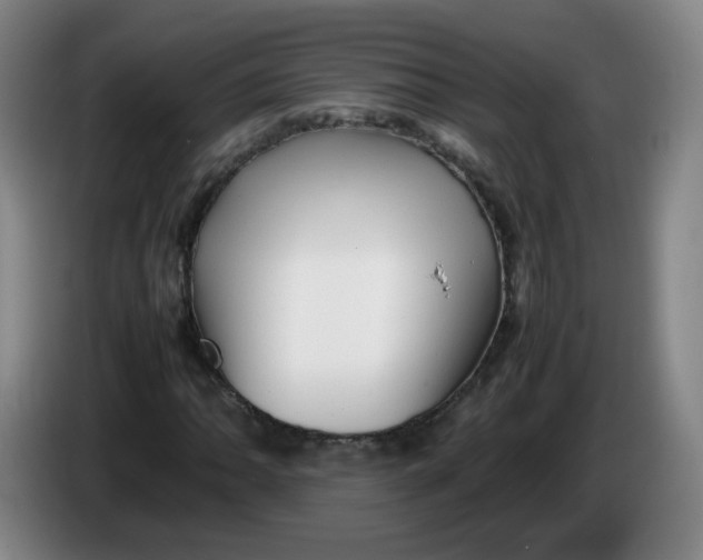 X0000086281062200704191941