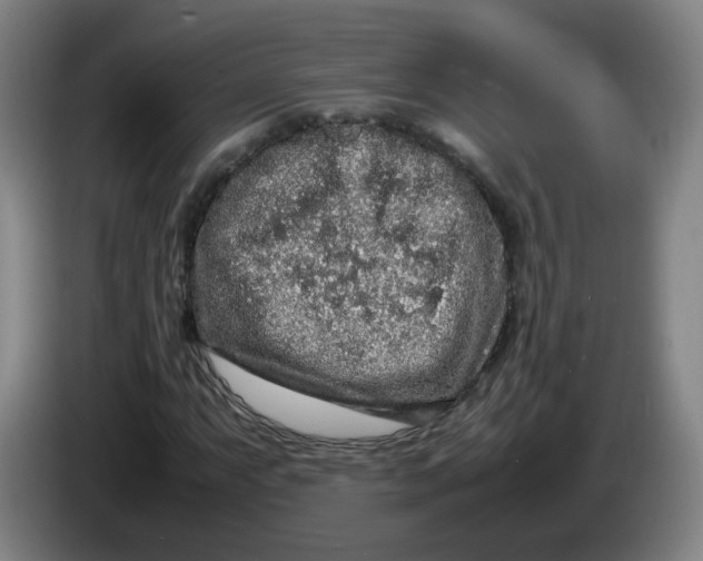 X0000086281063200704191941