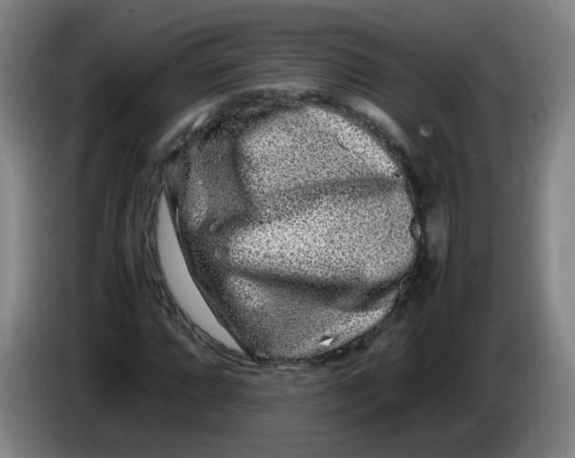 X0000086281064200704191941