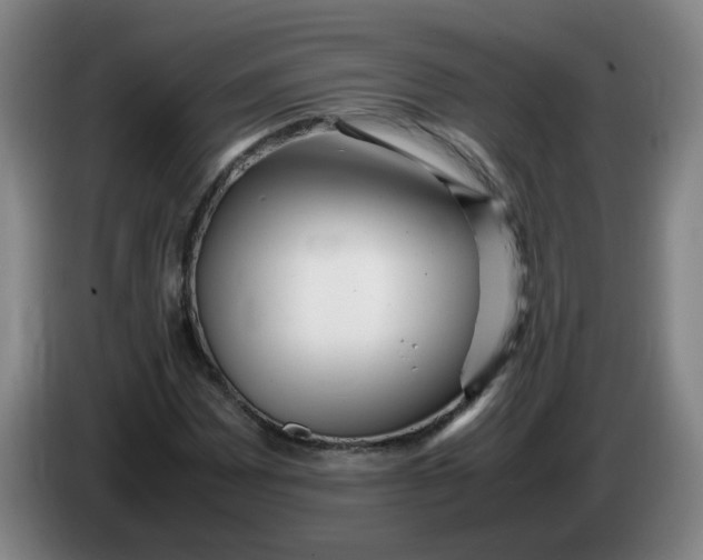 X0000086281065200704191941