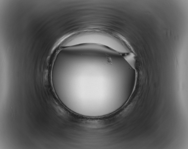 X0000086281066200704191941