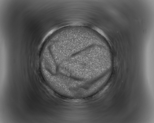 X0000086281067200704191941