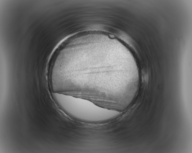 X0000086281068200704191941