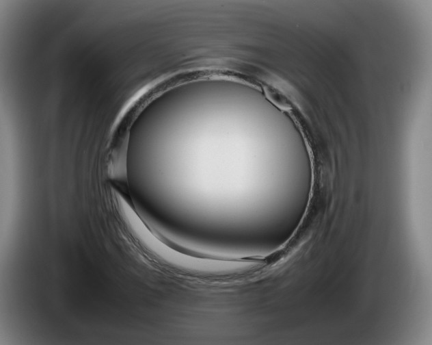 X0000086281069200704191941