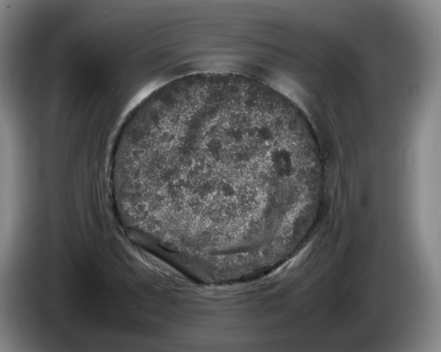 X0000086281071200704191941