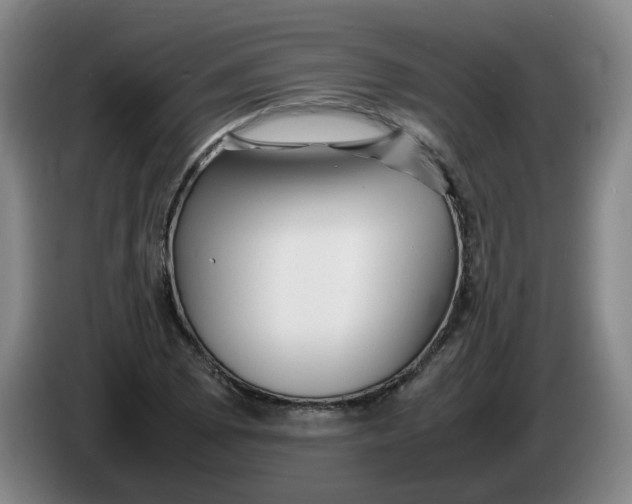 X0000086281073200704191941