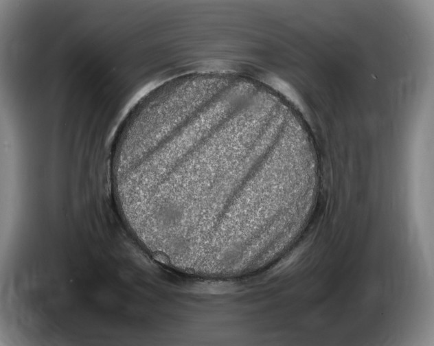 X0000086281075200704191941