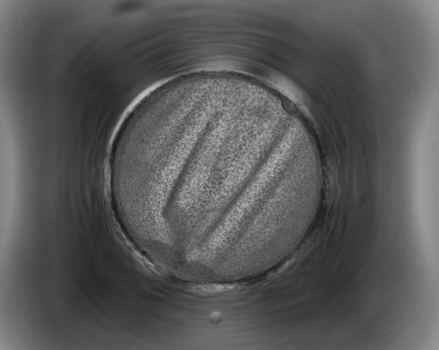 X0000086281076200704191941