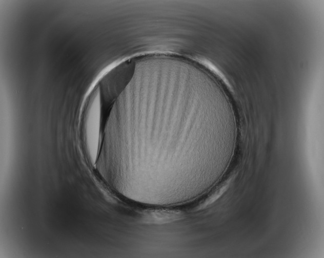 X0000086281077200704191941