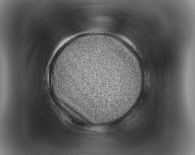 X0000086281078200704191941