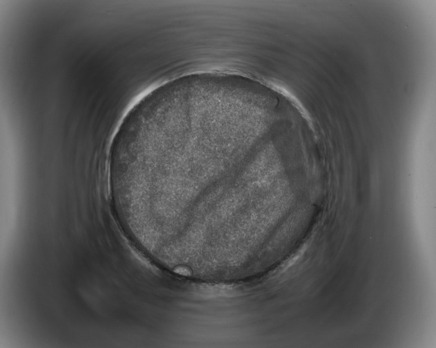 X0000086281079200704191941