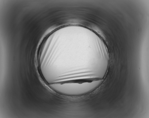 X0000086281080200704191941