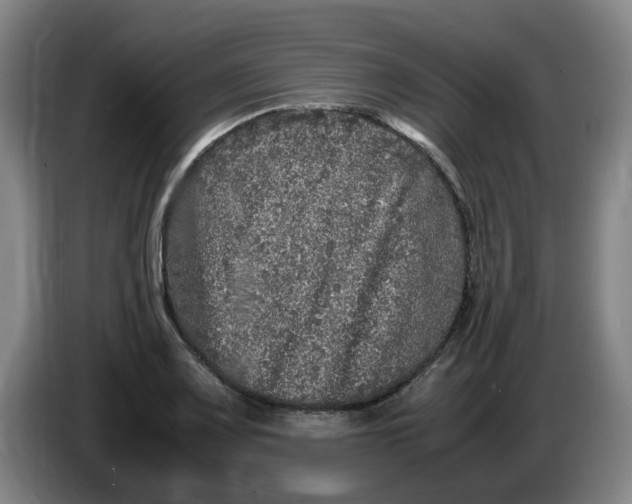 X0000086281083200704191941