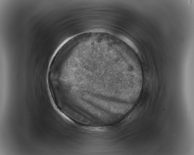 X0000086281084200704191941