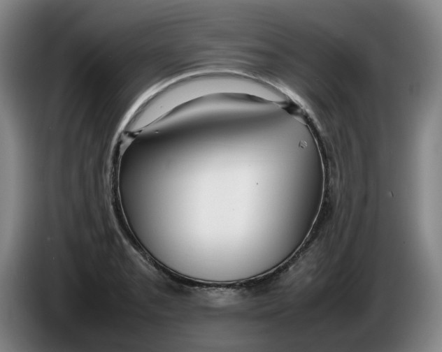 X0000086281085200704191941