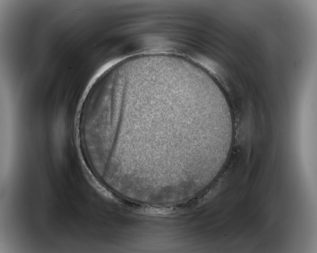 X0000086281086200704191941