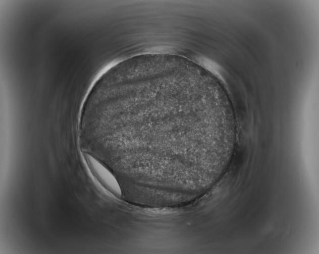 X0000086281087200704191941