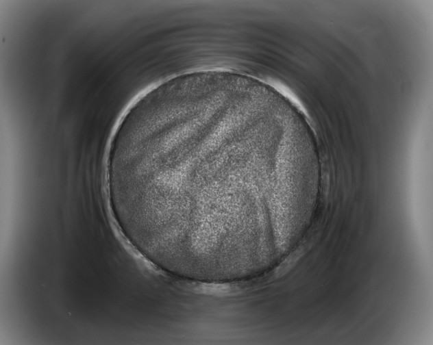 X0000086281088200704191941