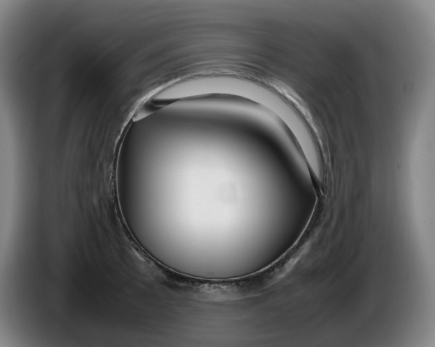 X0000086281089200704191941