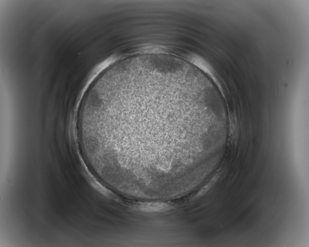 X0000086281090200704191941