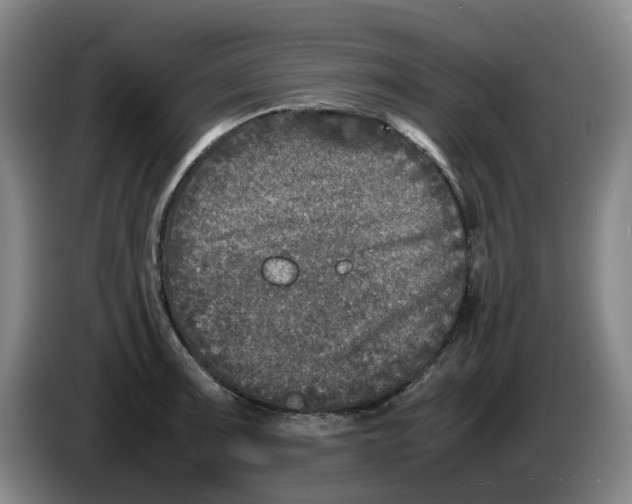 X0000086281091200704191941