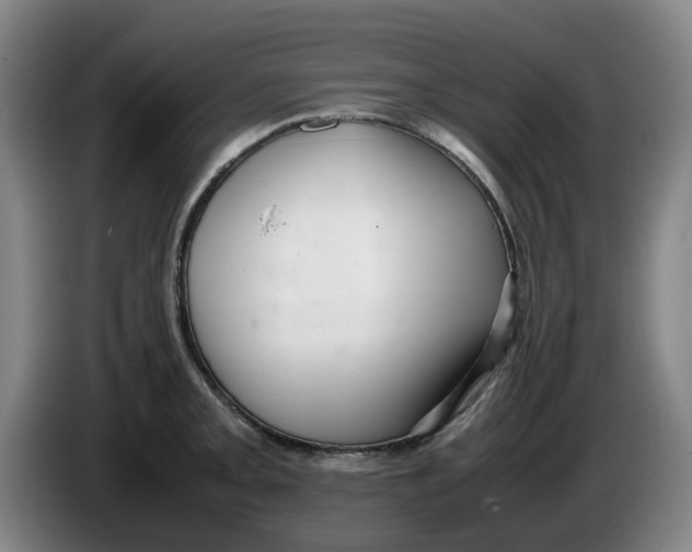 X0000086281093200704191941