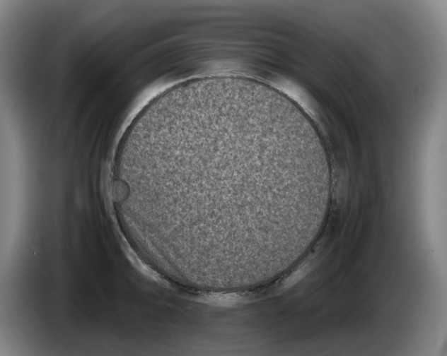 X0000086281094200704191941