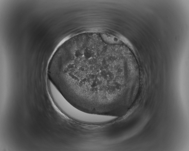 X0000086281095200704191941