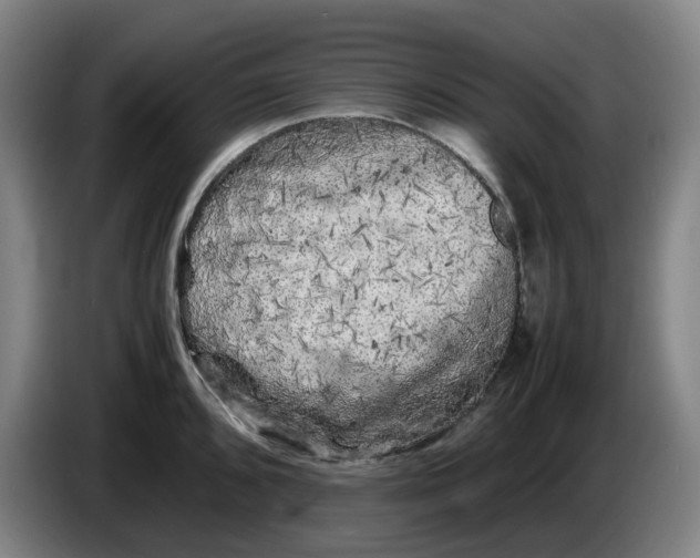 X0000086281096200704191941