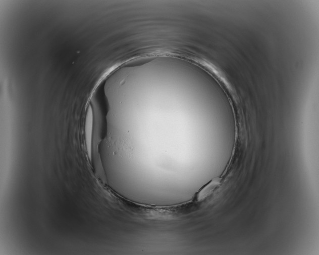 X0000086281097200704191941