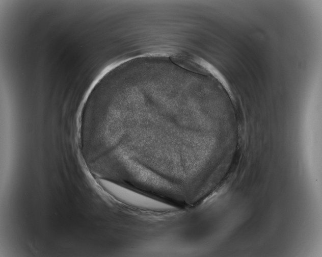 X0000086281099200704191941