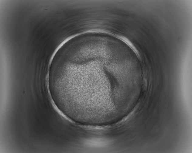 X0000086281100200704191941