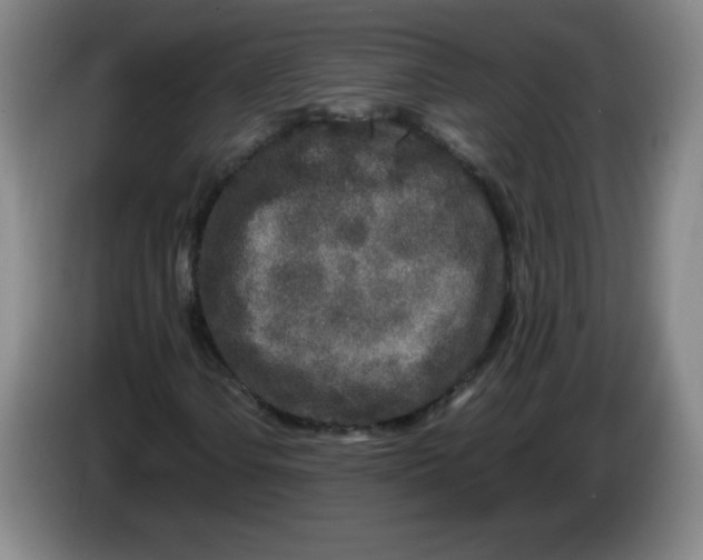 X0000086281106200704191940