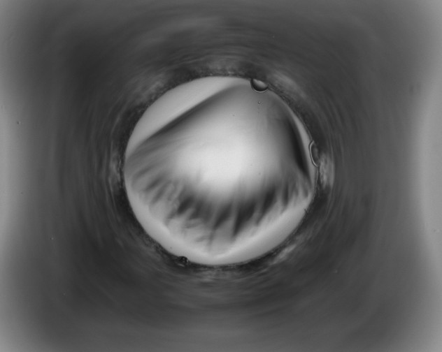 X0000086281107200704191940