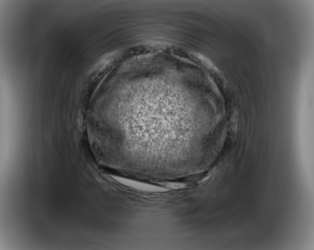 X0000086281110200704191940