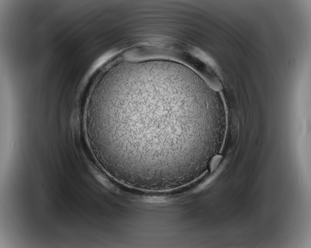 X0000086281114200704191940