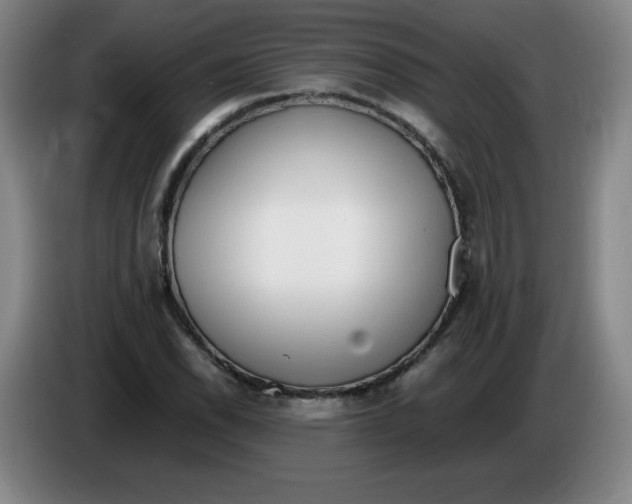 X0000086281118200704191940