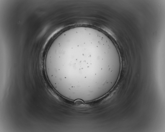 X0000086281119200704191940