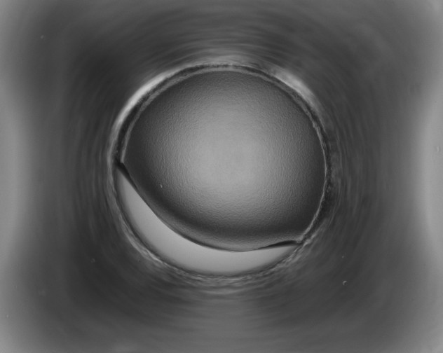 X0000086281120200704191940