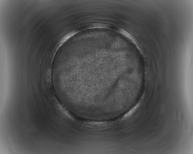 X0000086281121200704191940