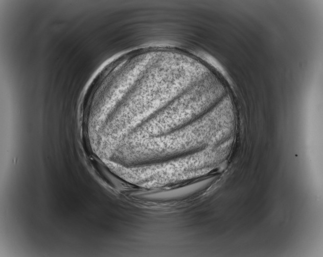 X0000086281124200704191940